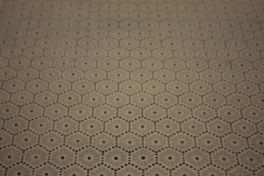 Hex Wheels Ivory Embroidery - Image 2