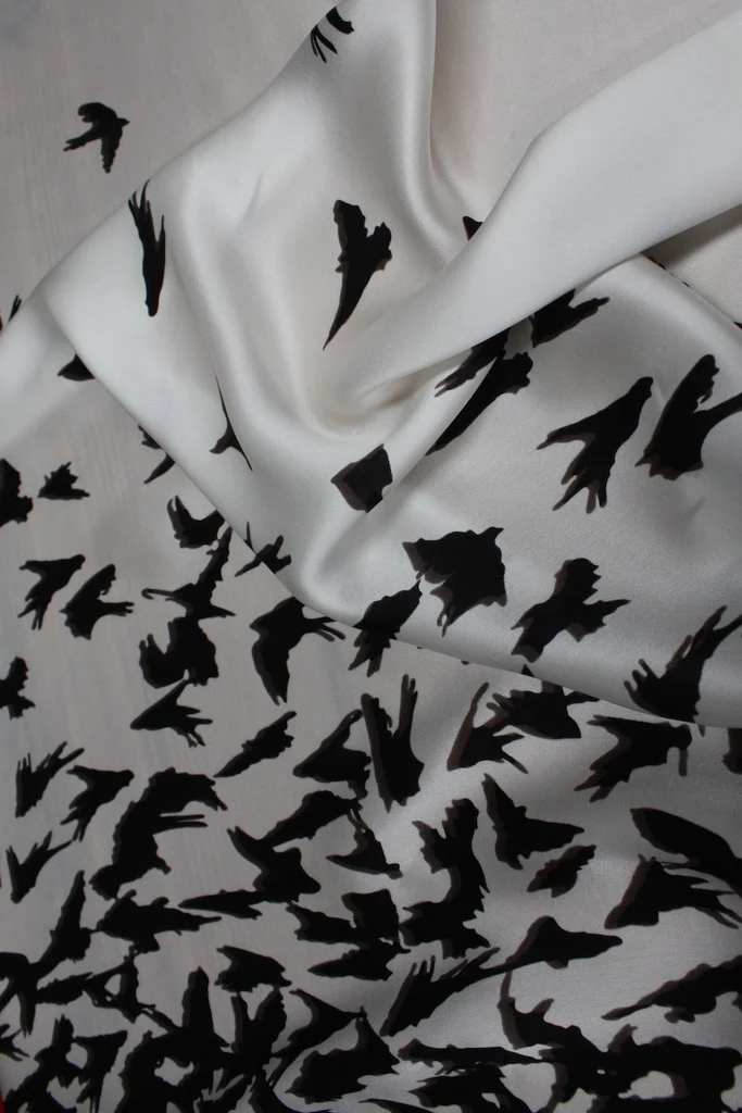 Hitchcock's Birds