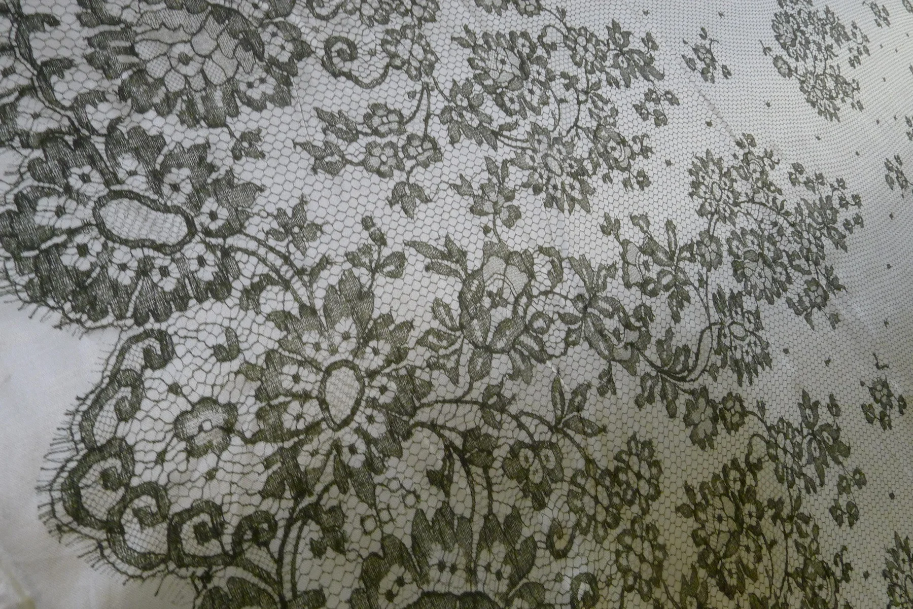 Honeycomb Bloom - Image 3