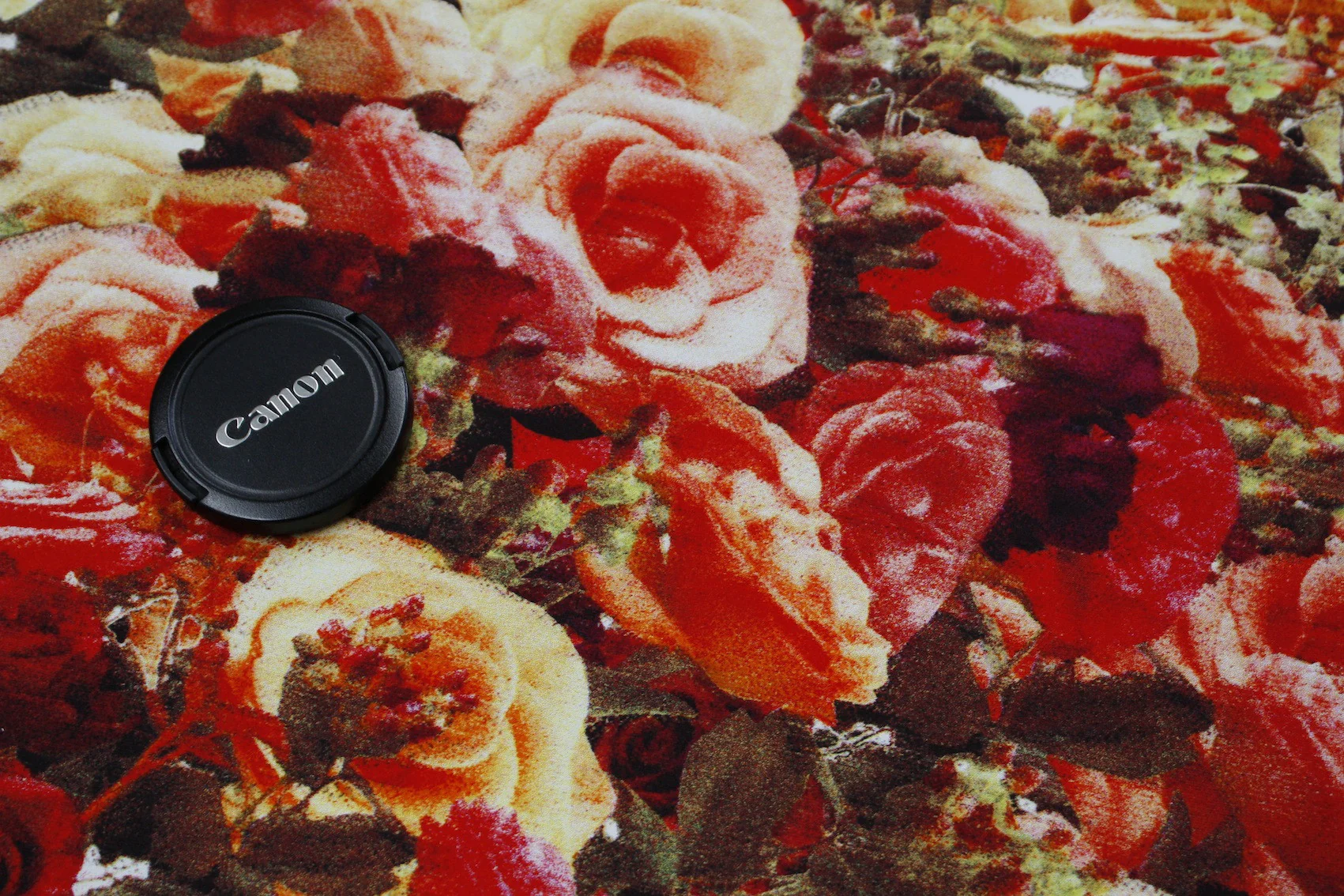 Hot Summer Roses