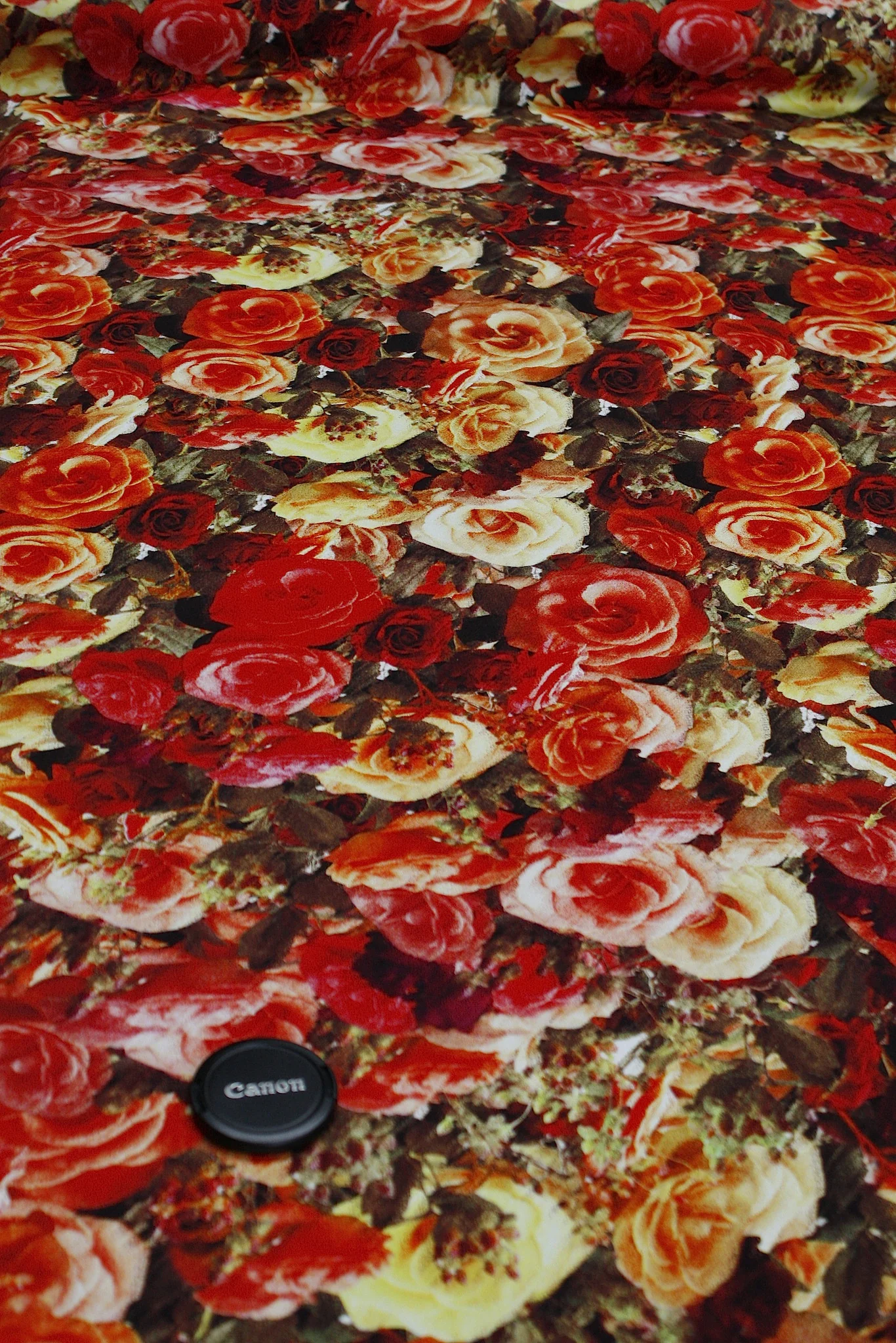 Hot Summer Roses - Image 3