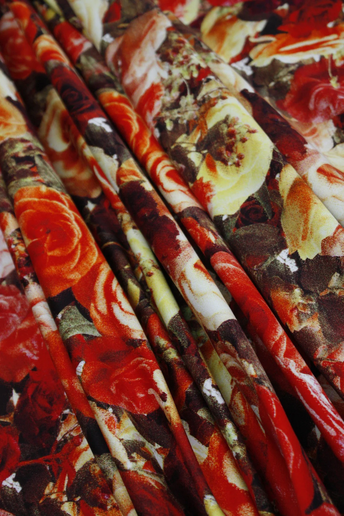 Hot Summer Roses - Image 4