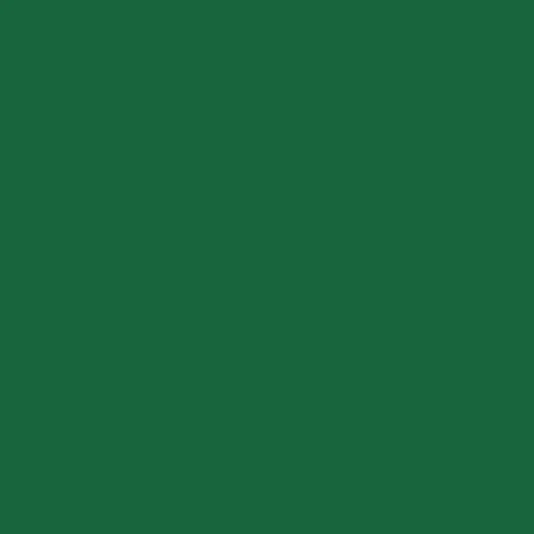 iDye for Natural Fabrics - Emerald - Image 2