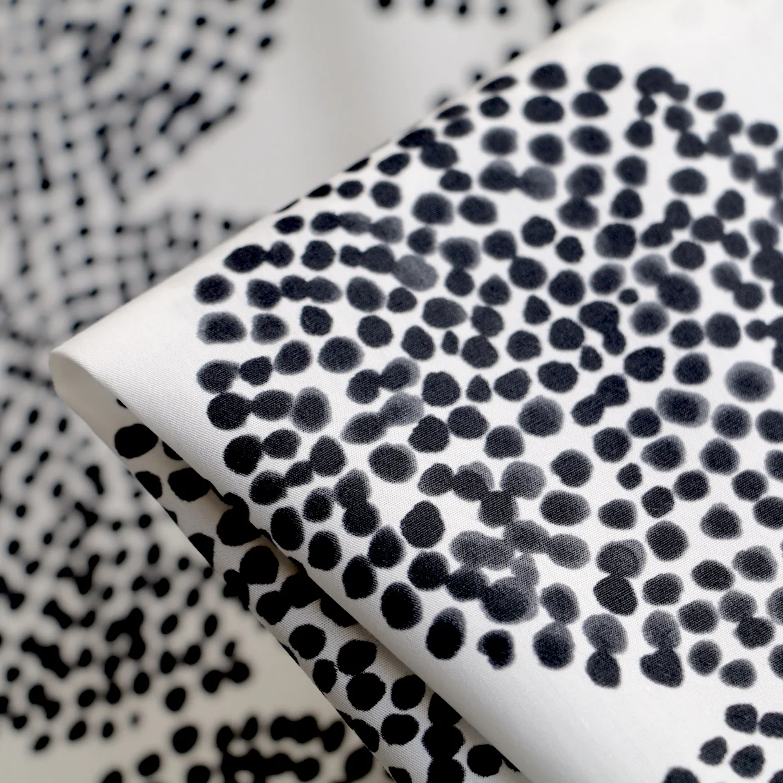 Ishihara Test