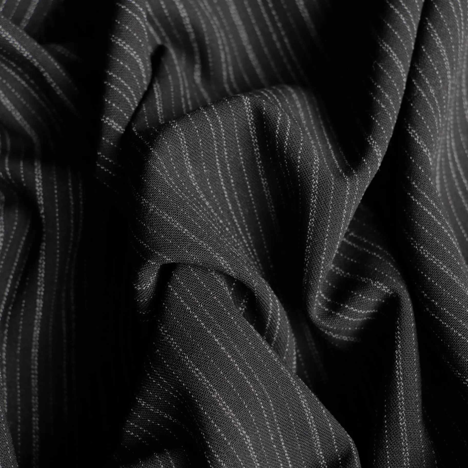 Italian Zebra - Image 2