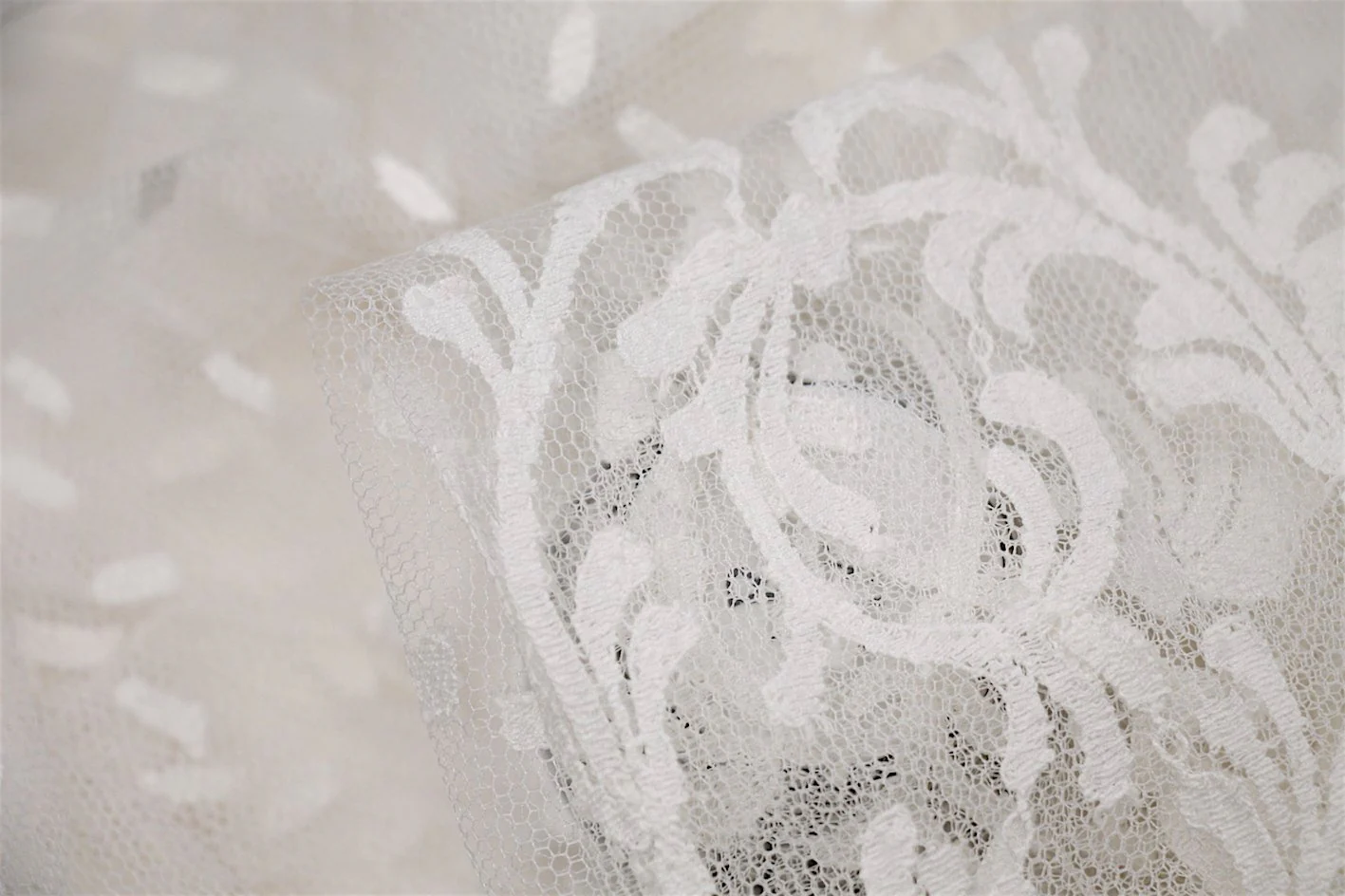 Ivory Swan