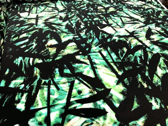Jungle Boogie CDC - Image 2