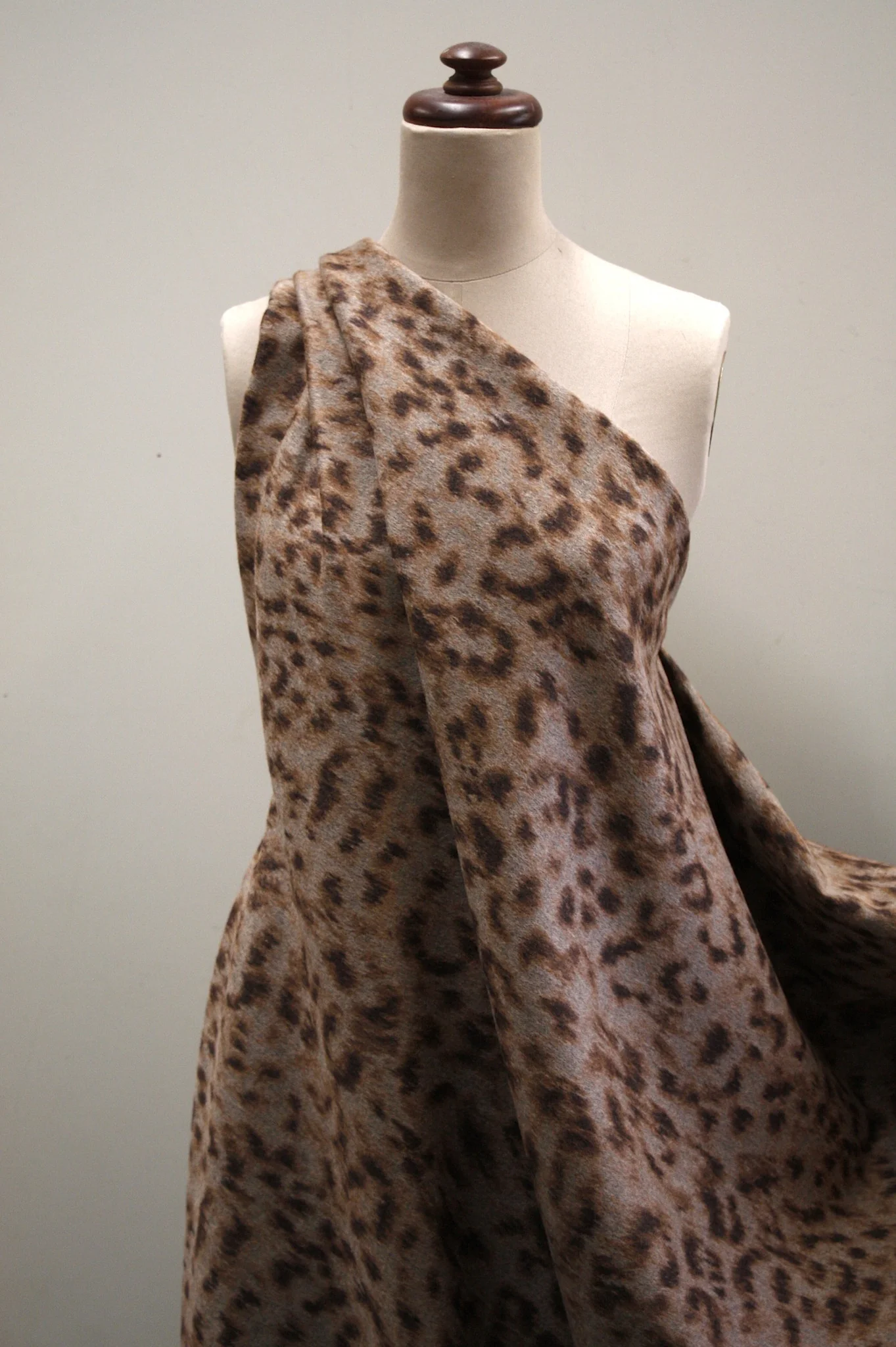 Kashmere Kitty - Image 4