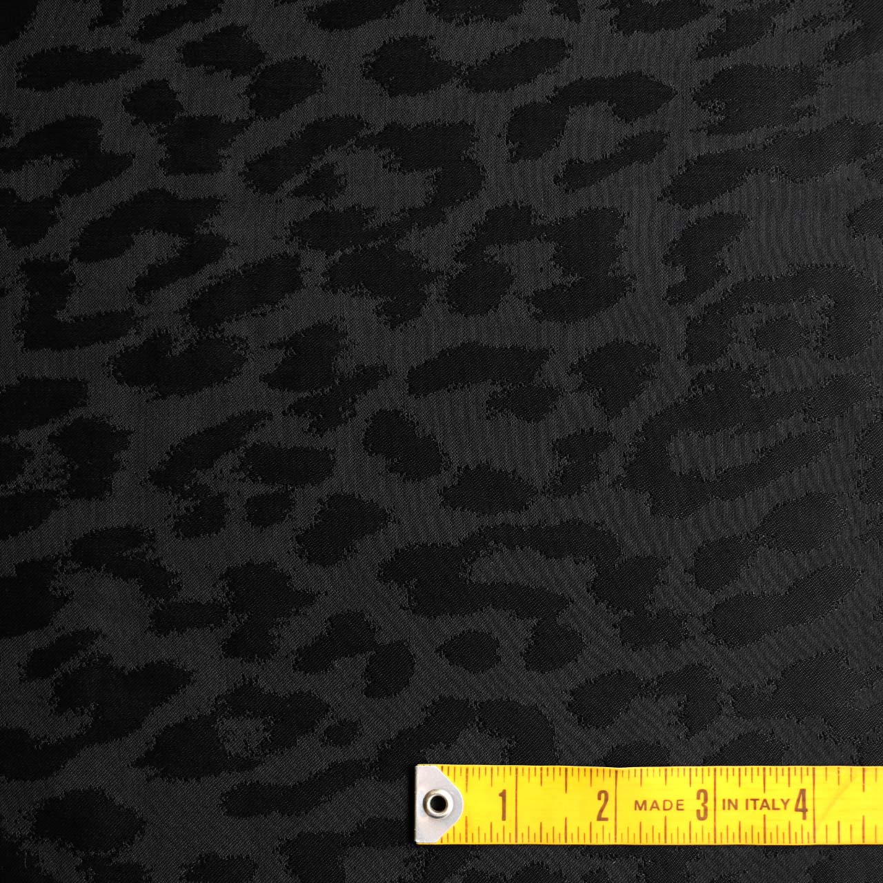 Kitty Kat Black - Image 3