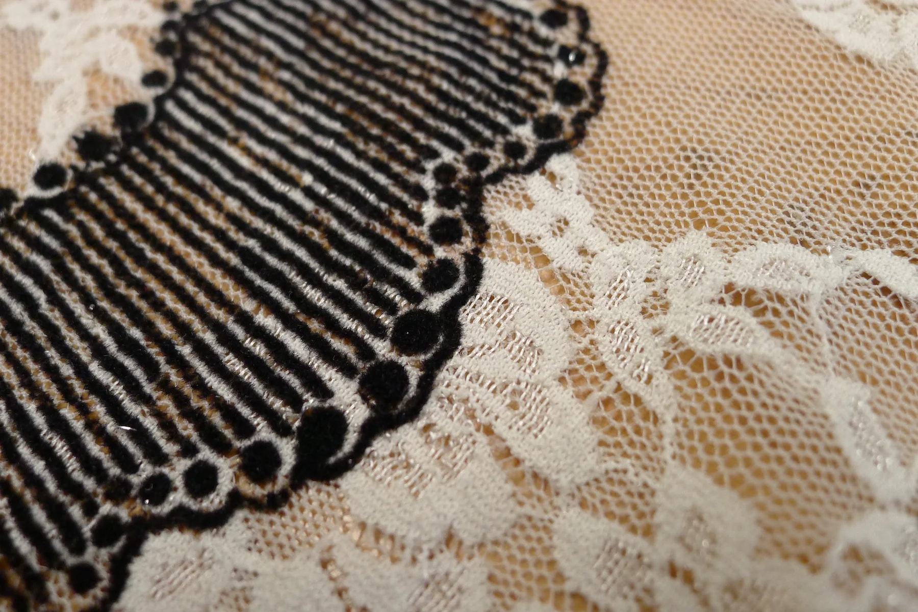 Lacy Evita - Image 3