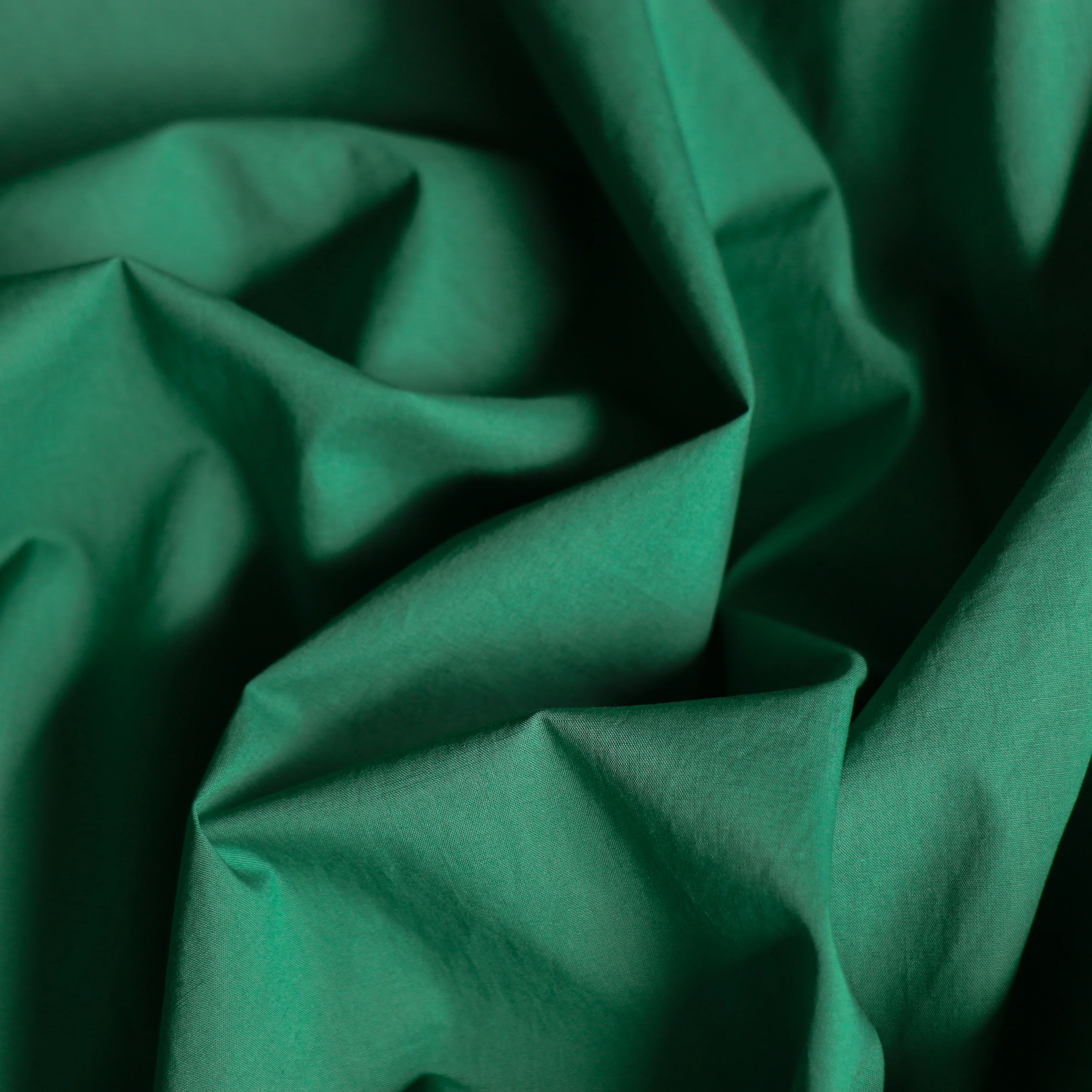 Lamatina Green Cotton Poplin - Image 2