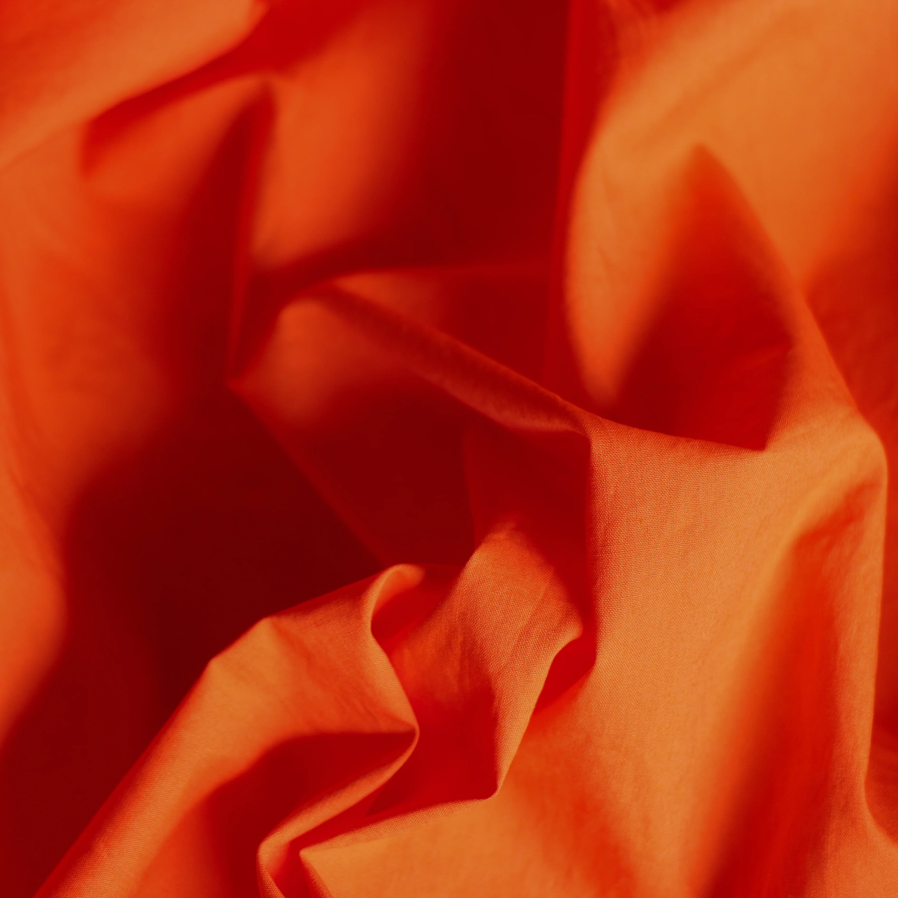 Lamatina Orange Cotton Poplin - Image 2