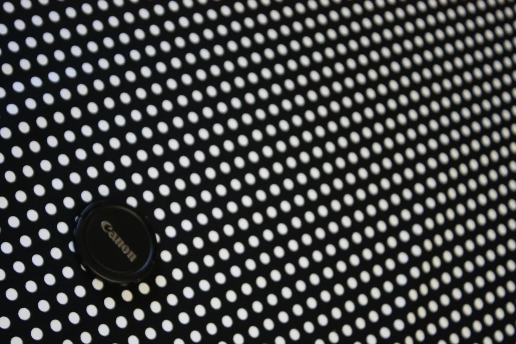 Lappi Black Spot - Image 2