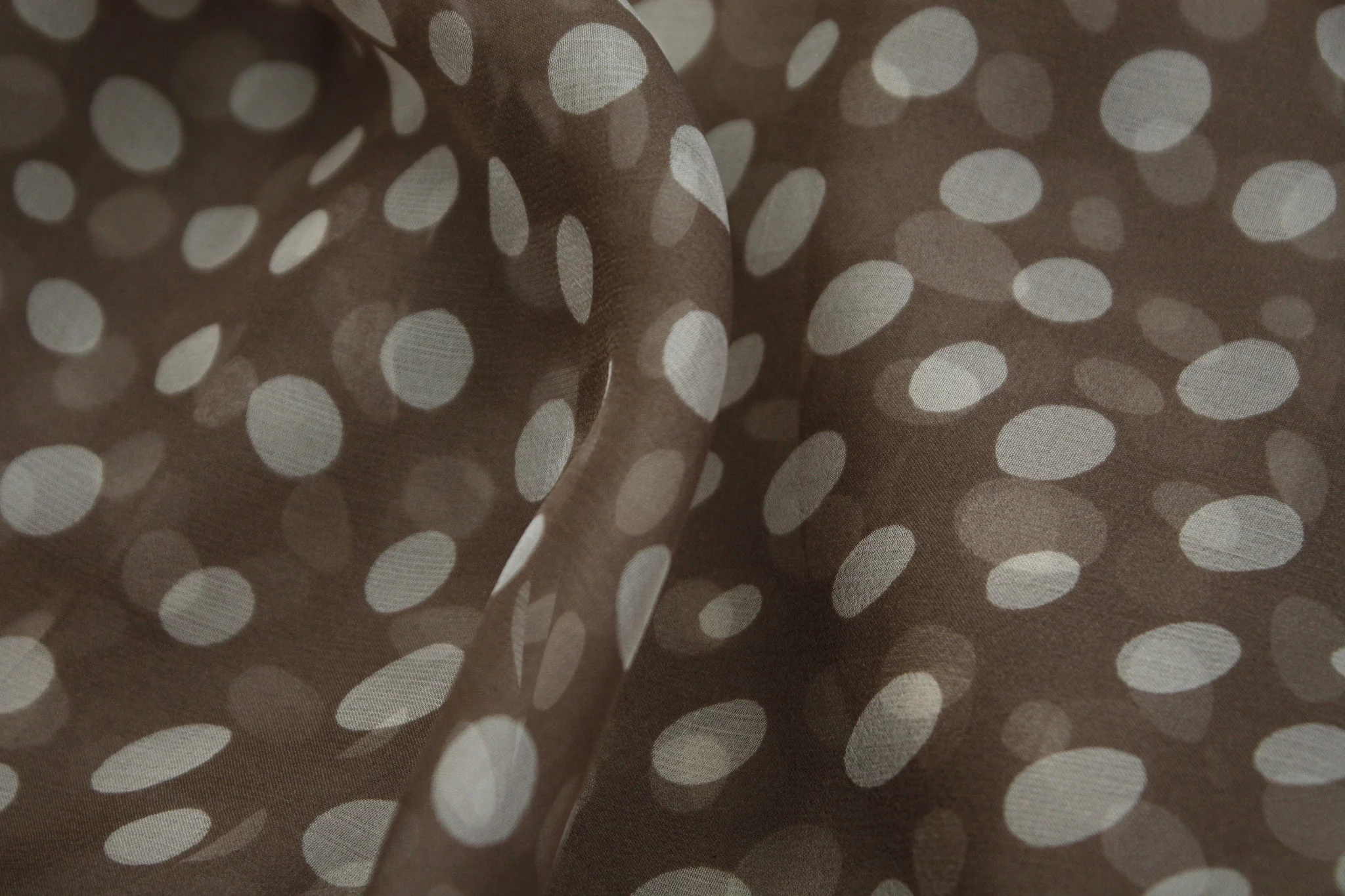 Latte Bolle - Image 2