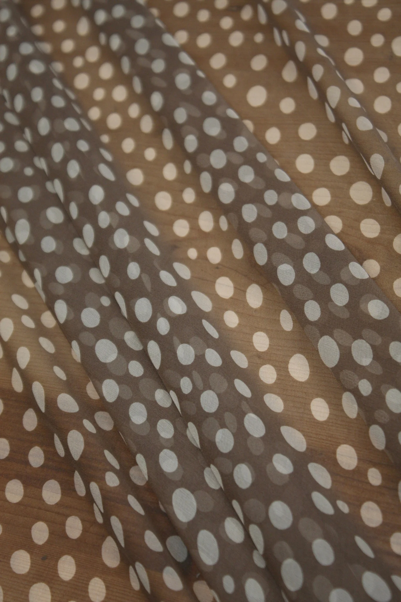 Latte Bolle - Image 4