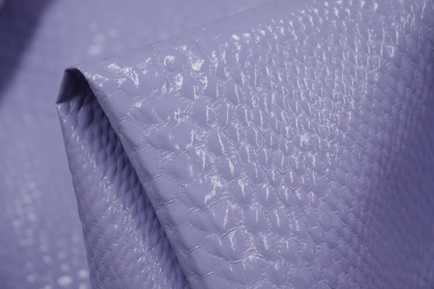 Lavender Alligator