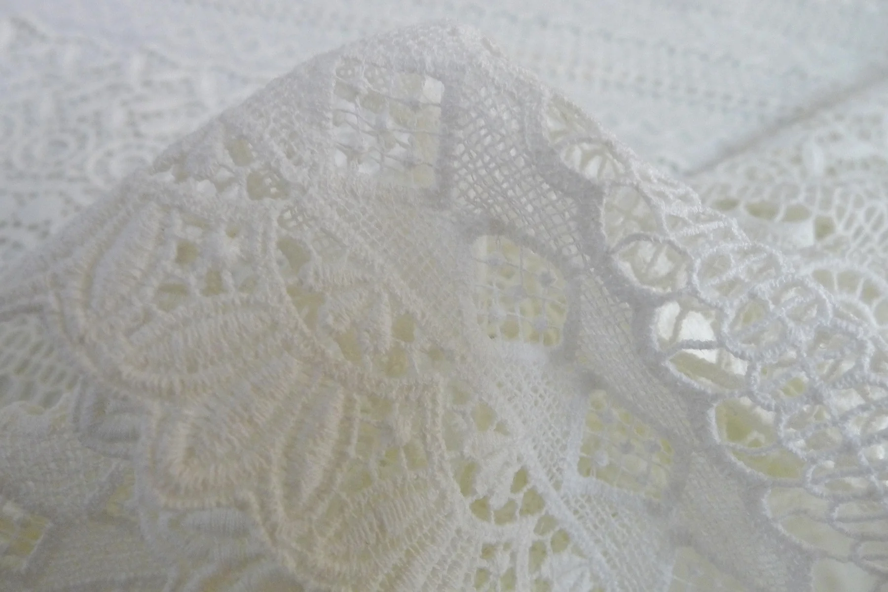 Lavern Cotton Guipure Lace