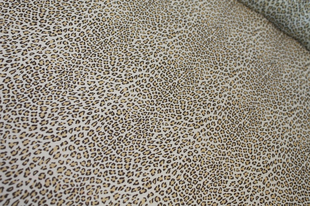 Leopard Voodoo - Image 2
