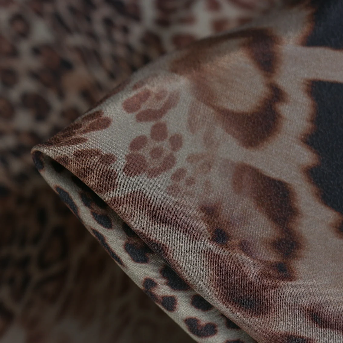 Leopardessa C.D.C
