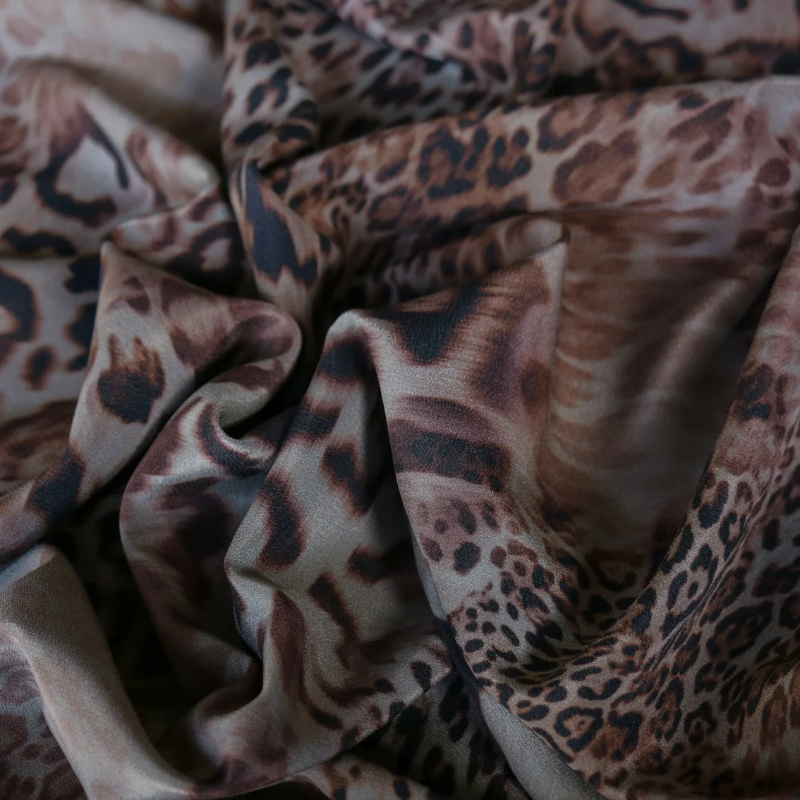 Leopardessa C.D.C - Image 2