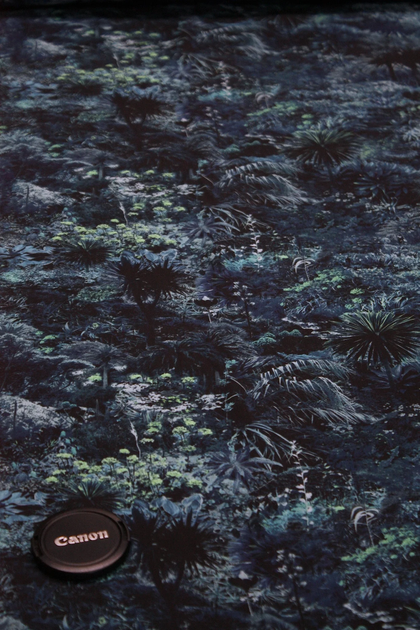Liberty Tana Lawn - Otillia Blue - Image 4
