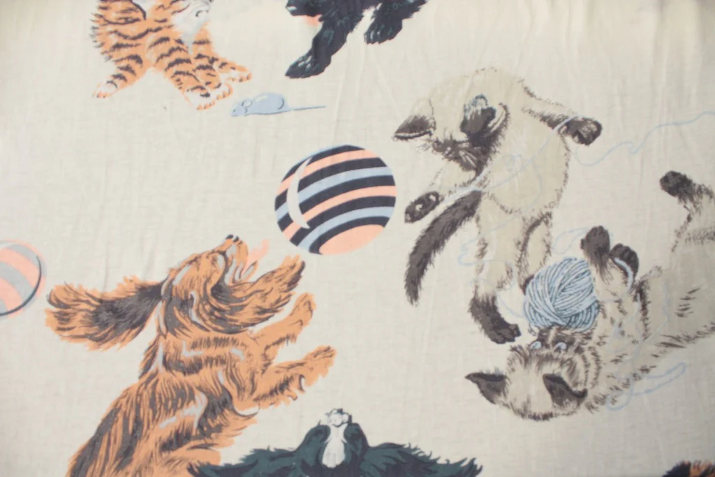 Like Cat & Dog - Image 2