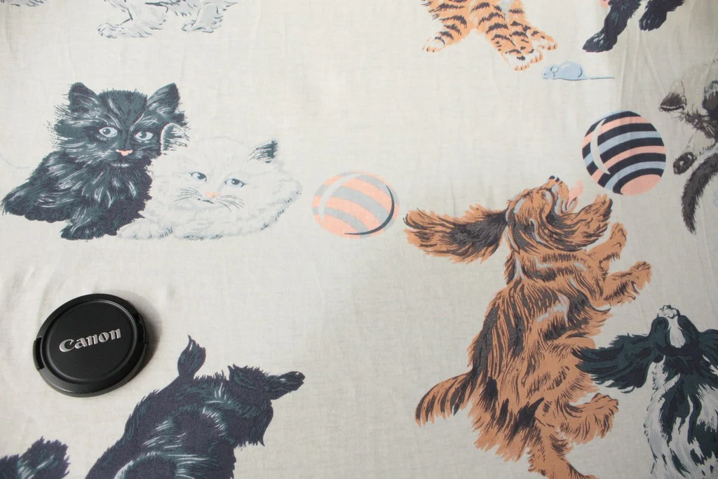 Like Cat & Dog - Image 3