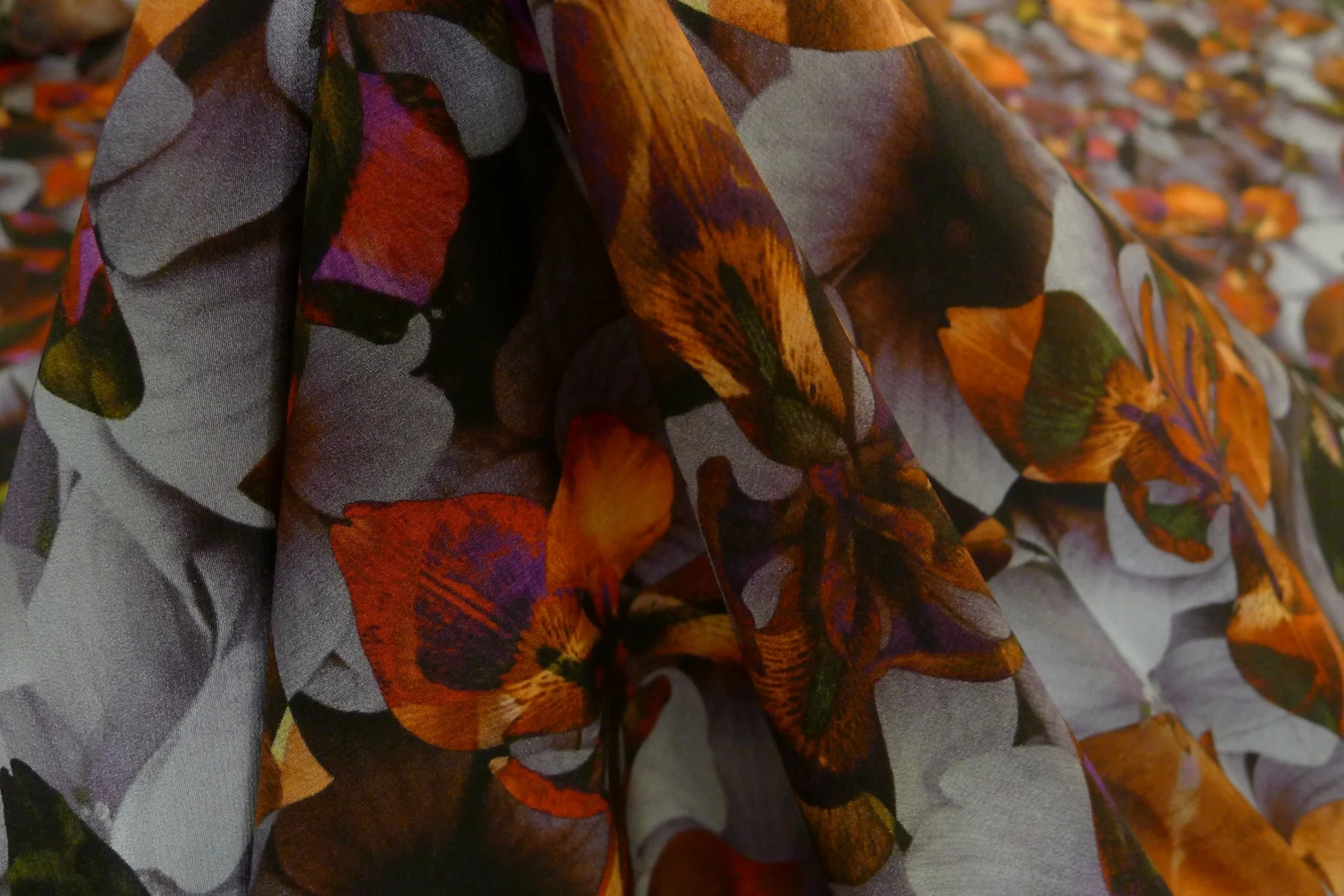 Lily Dusk - Image 4