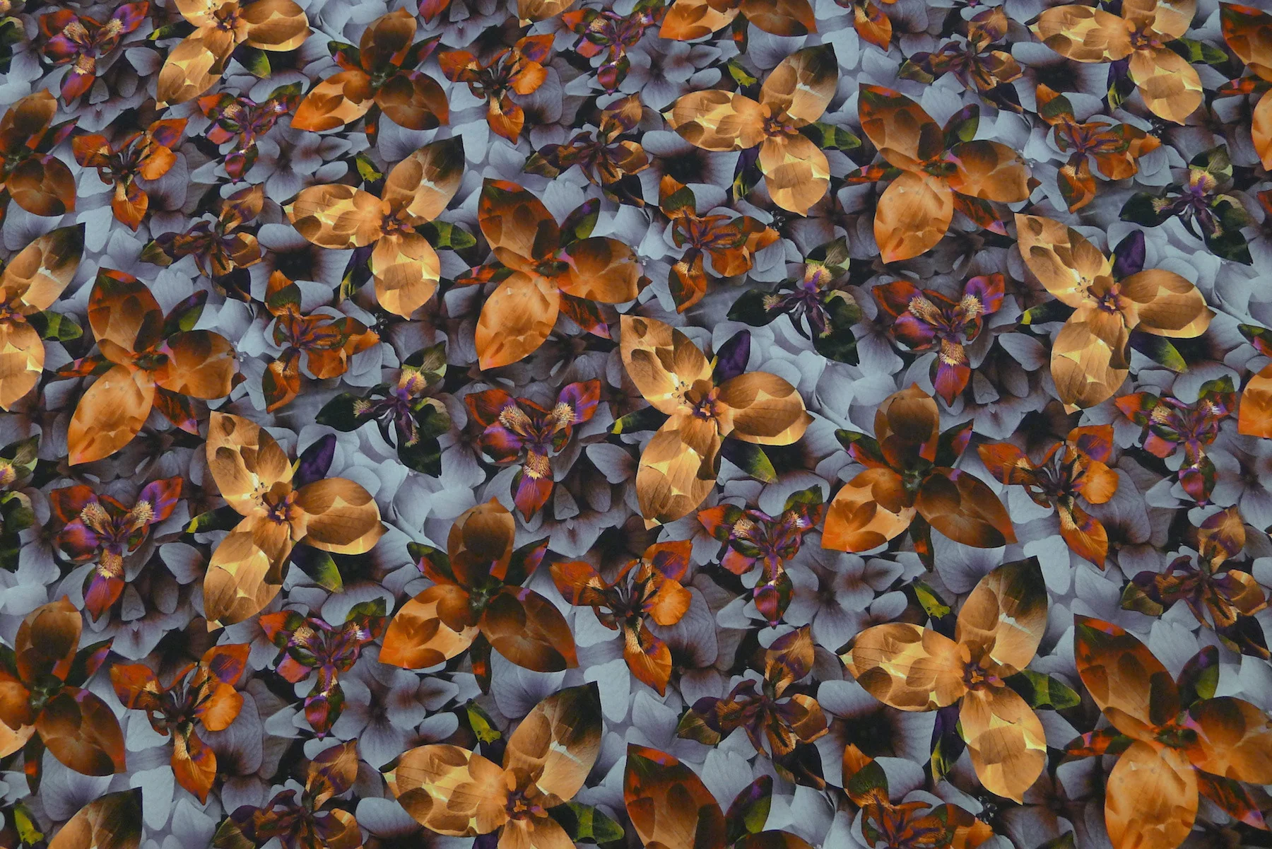 Lily Dusk - Image 5