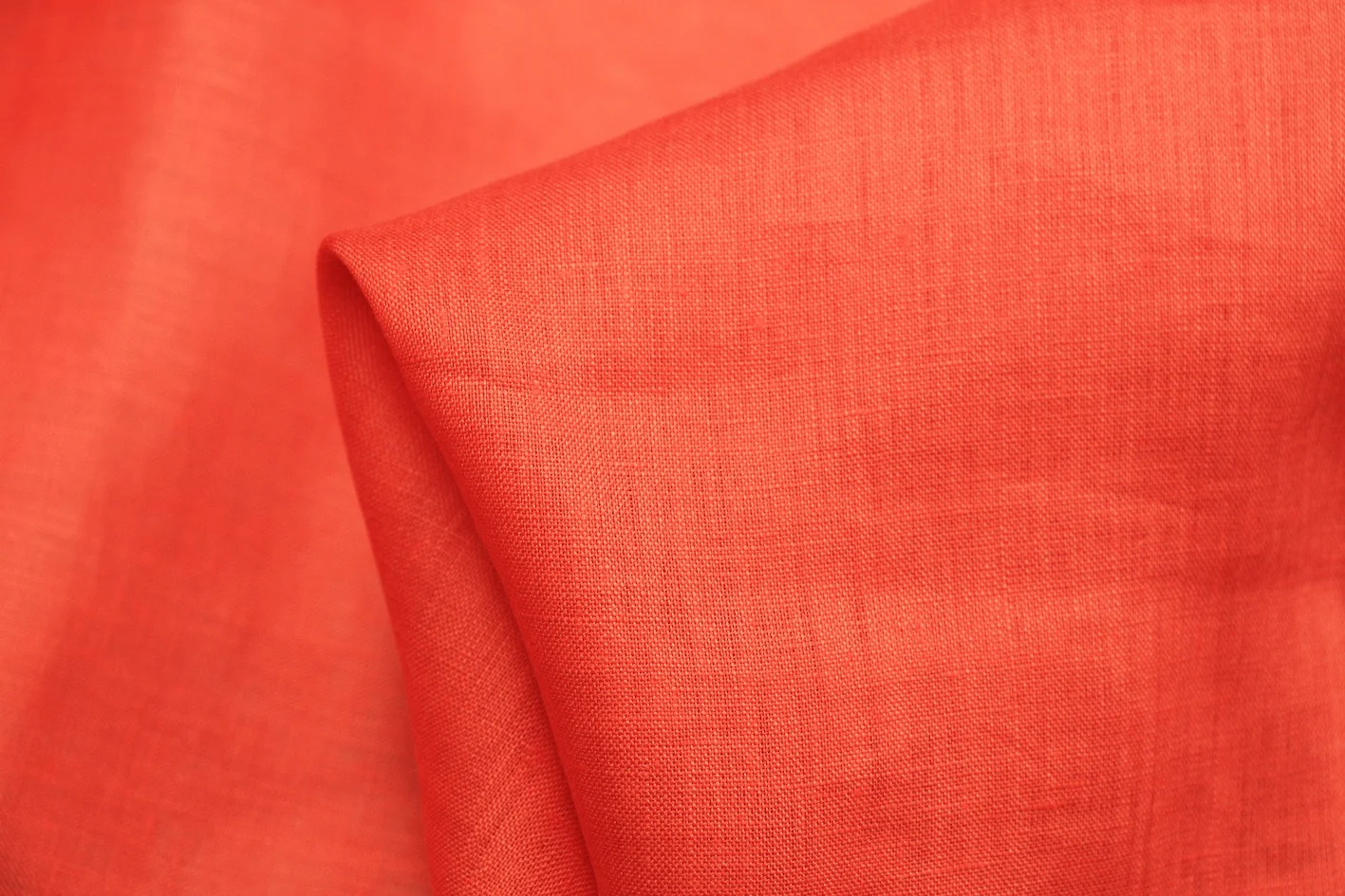 Lola Tangerine