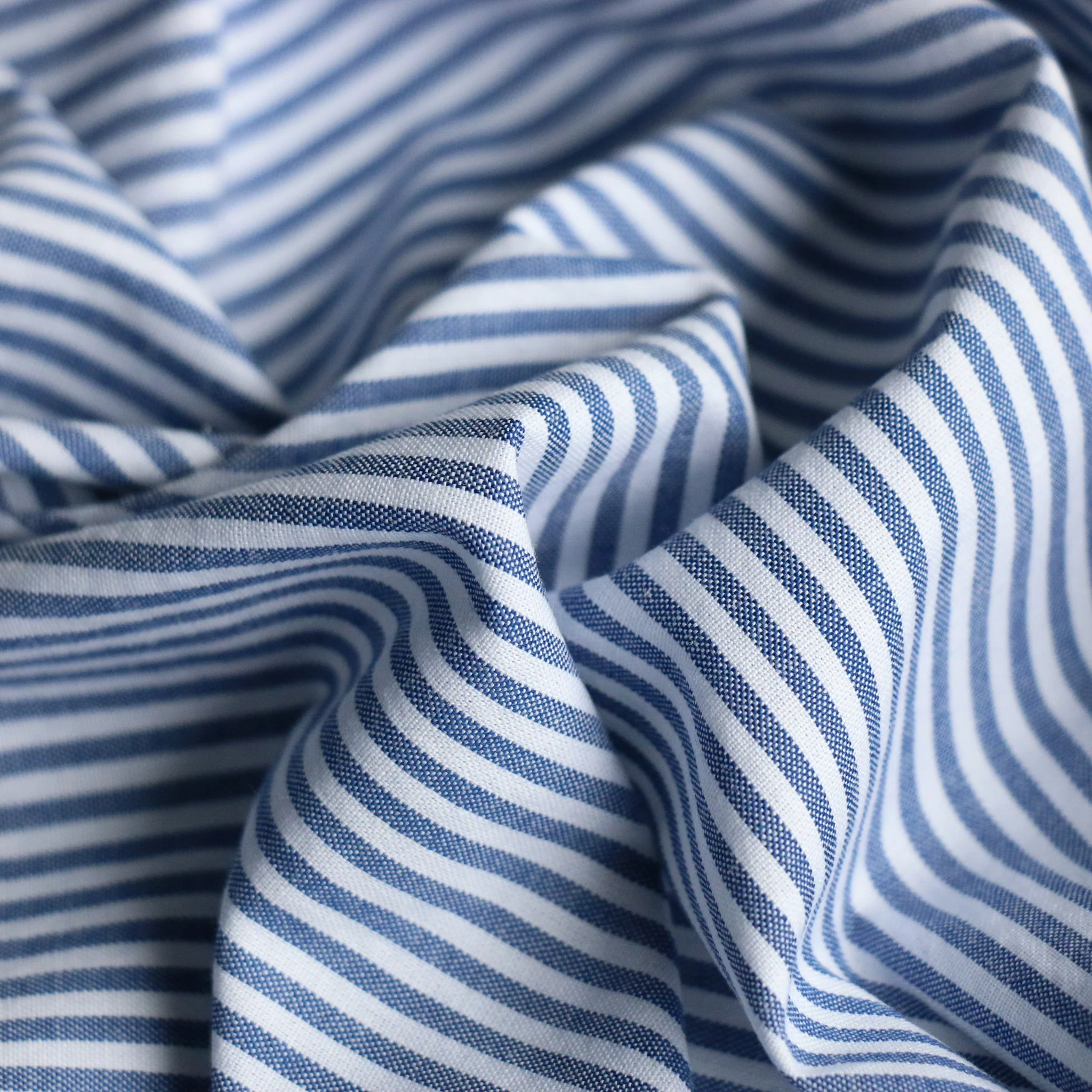Maxima Blue Stripe - Image 2