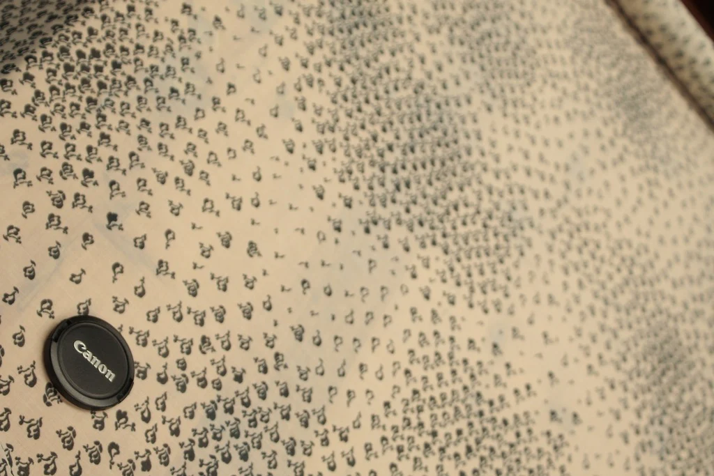 Migration - Image 3