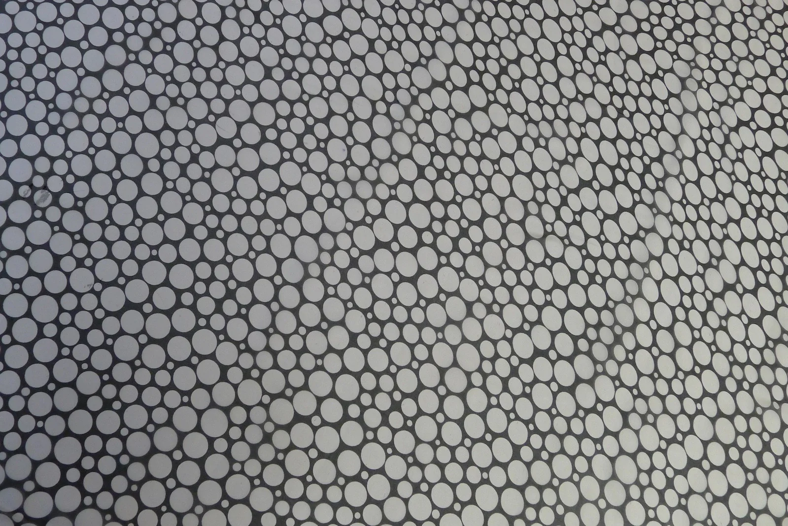 Milk on Licorice - Image 4