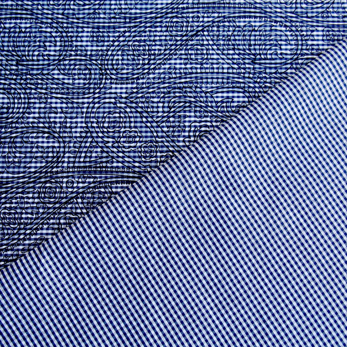 Modello Blue - Image 3