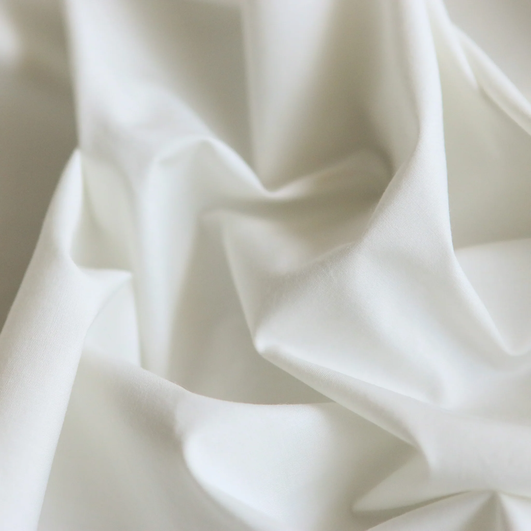 Molloy Off-White Cotton Shirting - Image 2
