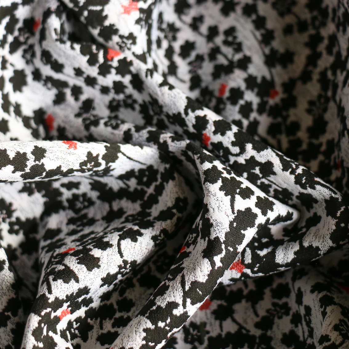 Naomi Jacquard - Image 2