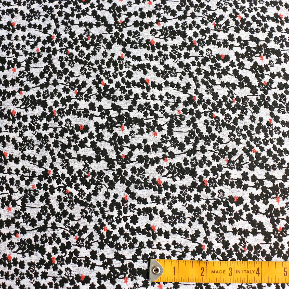 Naomi Jacquard - Image 3