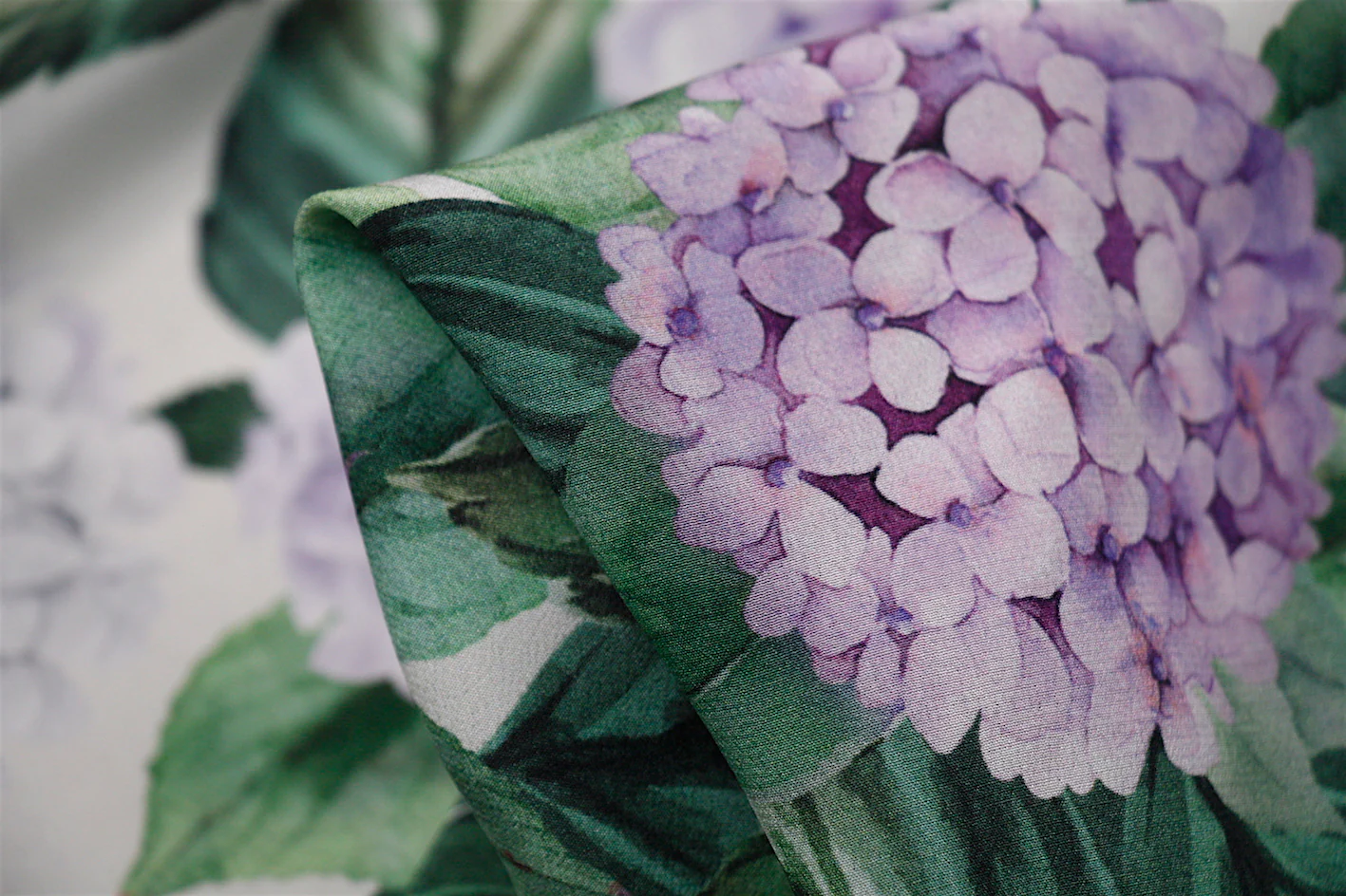 Natural Hydrangea CDC