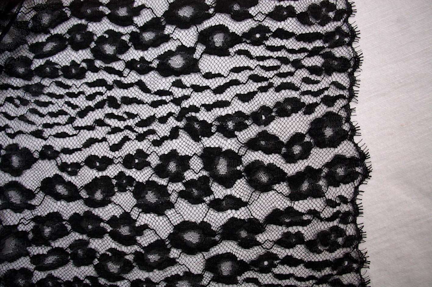 Noir Lace - Leopard Floral - Image 3