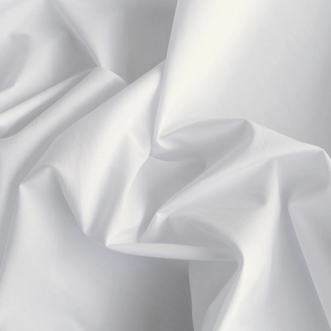 Nova White - Image 2