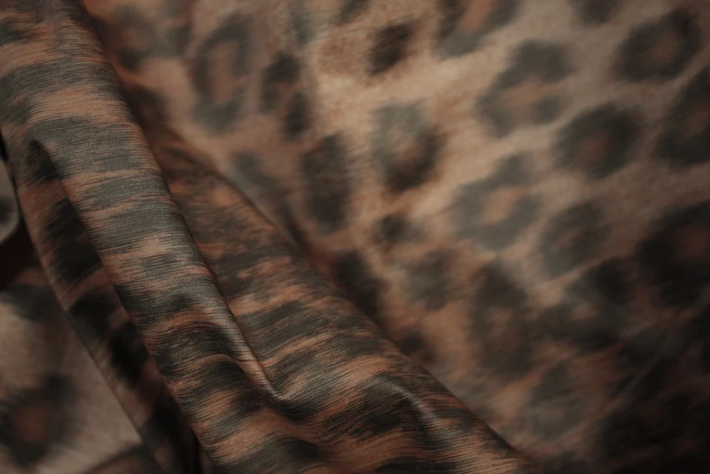 On The Move - Image 4