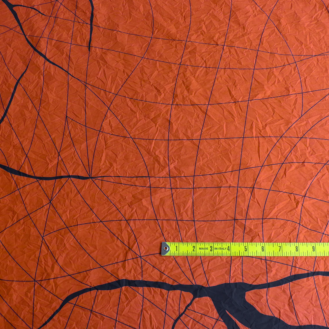 Orange For Ann - Image 3
