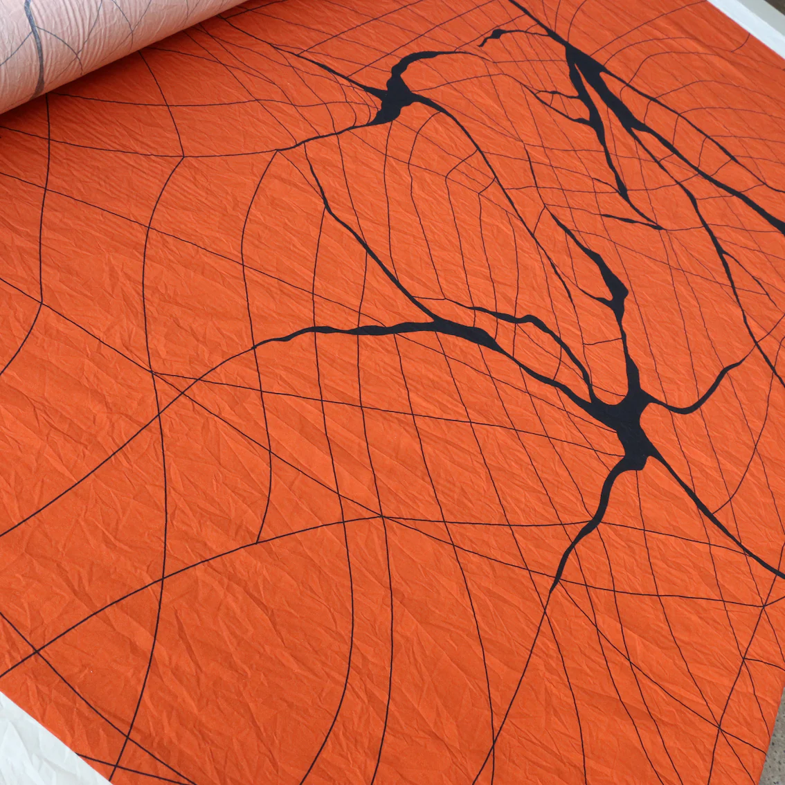 Orange For Ann - Image 4