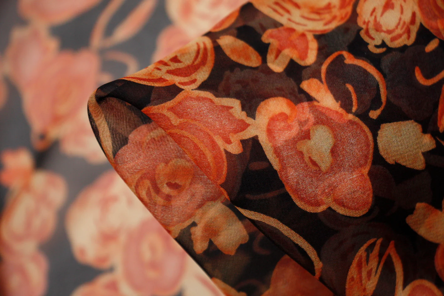 Orange Peeko Rose