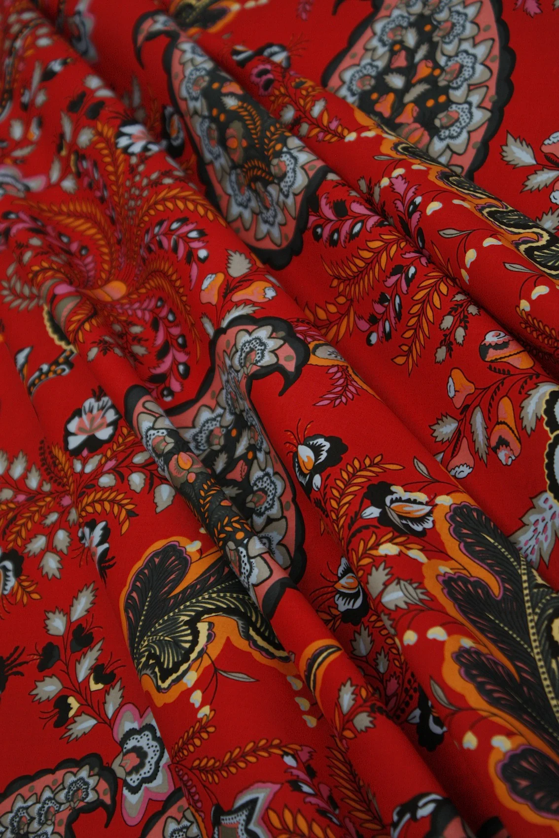 Paisley's Backdrop - Image 2