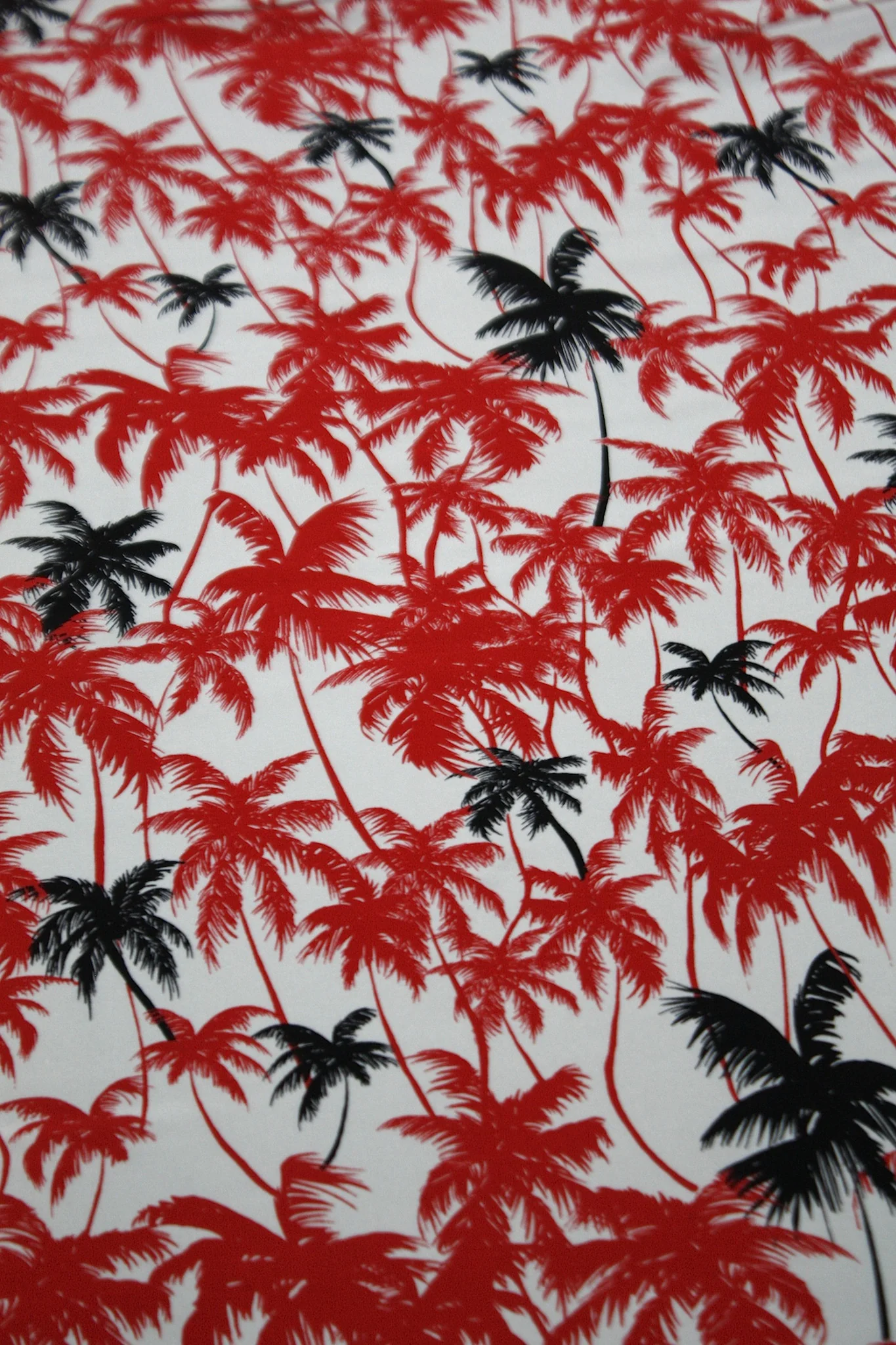 Palm Tree Rosso - Image 2