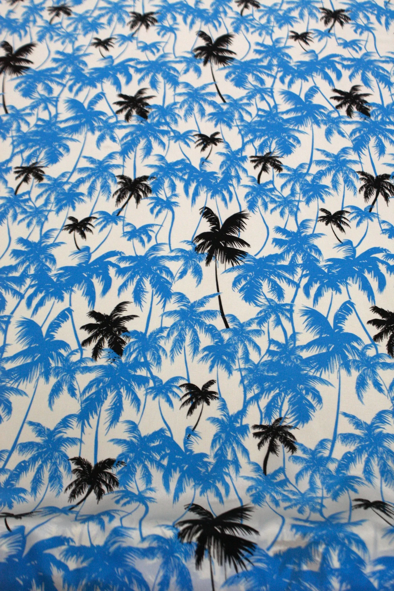 Palm Tree Sky - Image 2