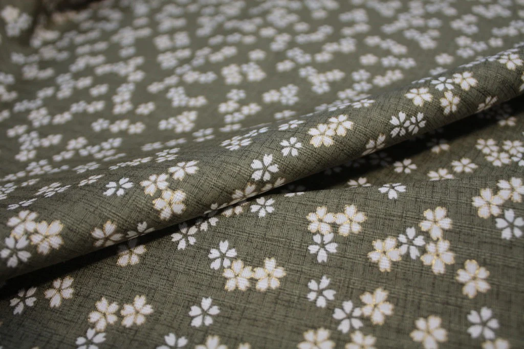 Panji Olive