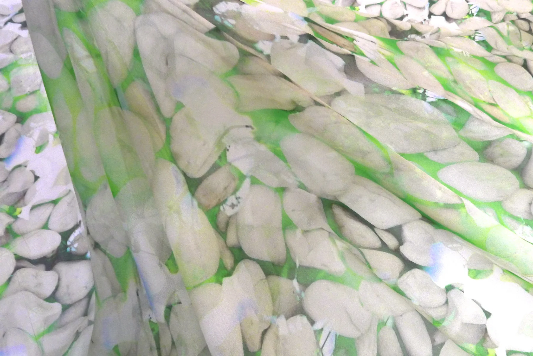 Pebbles & Petals - Image 5