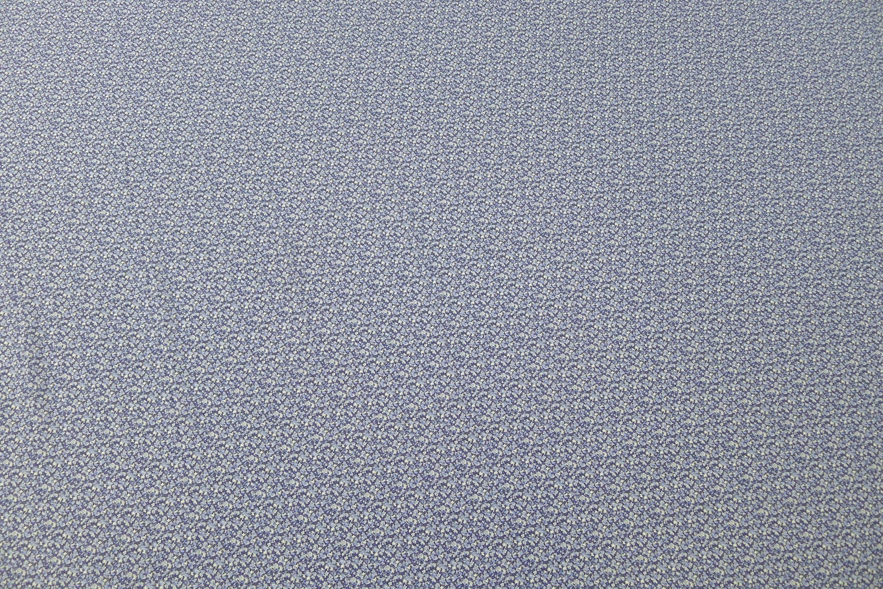 Pepper Blue - Image 7